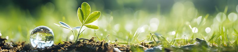 از مزایای گلیسیرین تولید داخل پایداری و دوست دار بودن محیط زیست است