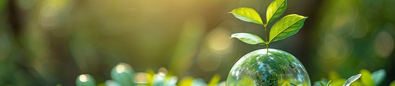 تاثیر صنعت آرایشی و بهداشتی بر تولید زیاد پلاستیک