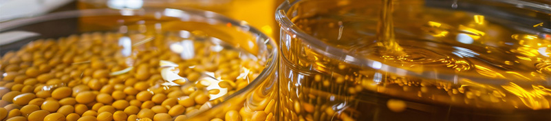 روغن سویا (Soybean Oil) و تولید سورفکتانتهای زیستتخریبپذیر